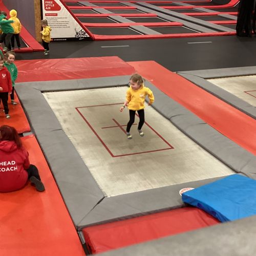 IMG01951)
