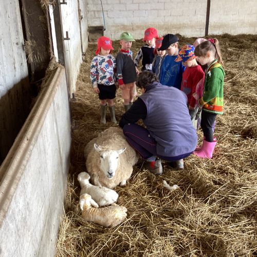 FSU Essebeare Farm School