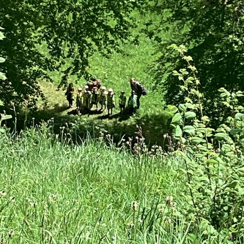 IMG0211