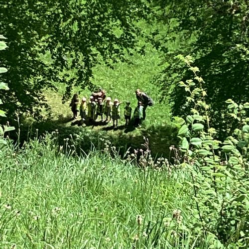 IMG0212