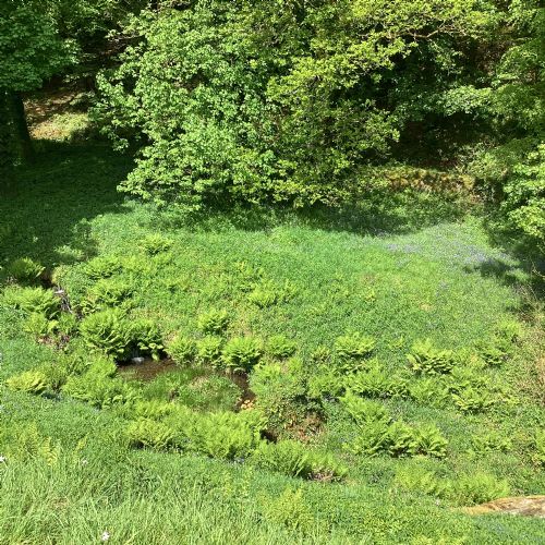 IMG04731)