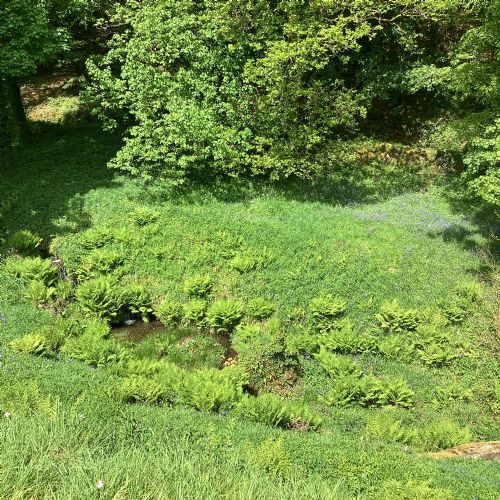 IMG04741)