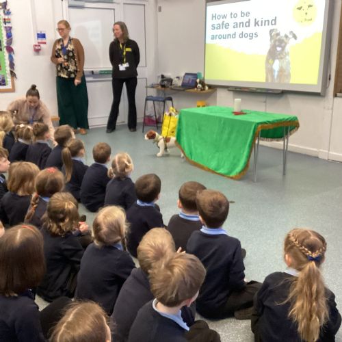 Dogs Trust 2025