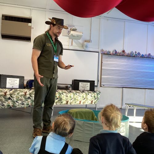 KS1 Animal Encounters