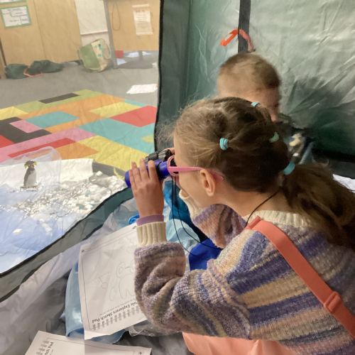 KS1 Polar Explorers Day