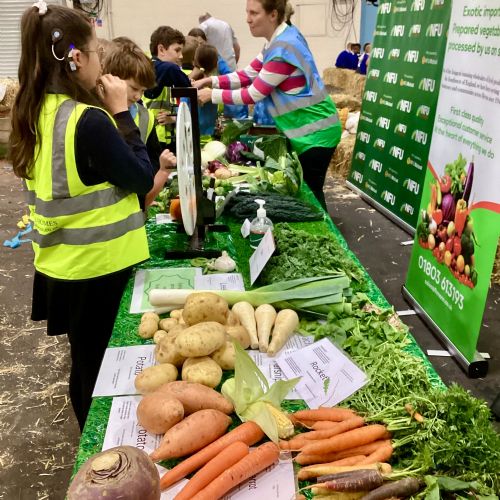 Class 4 visit to Farm Wise at Westpoint